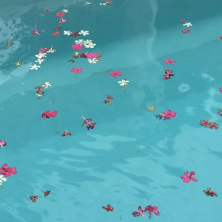 Mediterranea Luxury House