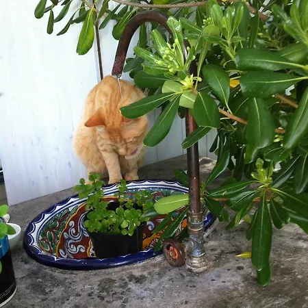 فندق مبيت وإفطار Mediterranea Luxury House كويرشانيلا