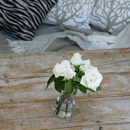Bed & Breakfast Mediterranea Luxury House