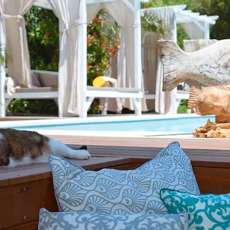 Mediterranea Luxury House