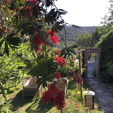 Mediterranea Luxury House