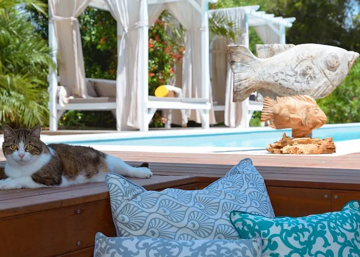Mediterranea Luxury House